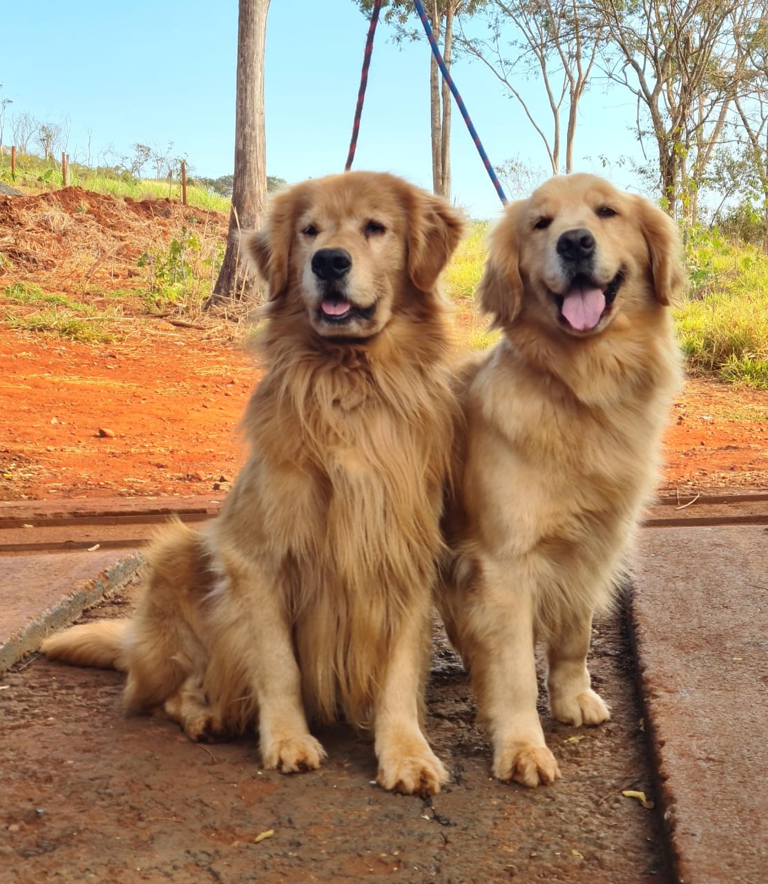 Max e Mel
